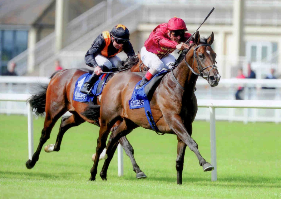 Cappella Sansevero - Round Tower Stks Gr3 Curragh 31st August 2014